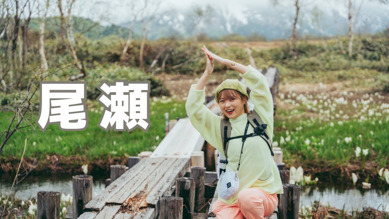 【尾瀬ハイキング】霧の幻想的な水芭蕉！鳩待峠〜尾瀬小屋まで散策・グルメも