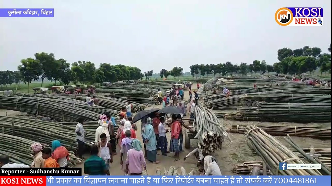 कुर्सेला में बांस मंडी का हुआ स्थानांतरण। @kosinews