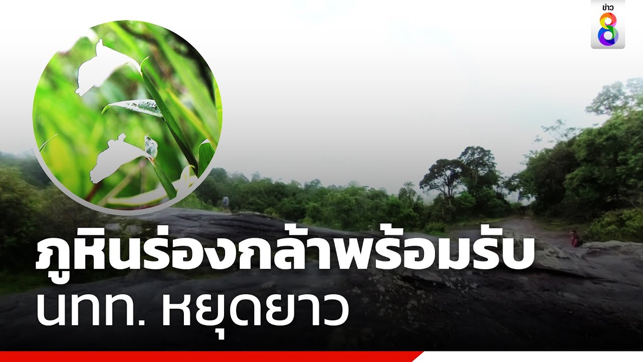ภูหินร่องกล้าพร้อมรับ นทท. หยุดยาว | ข่าวช่อง8