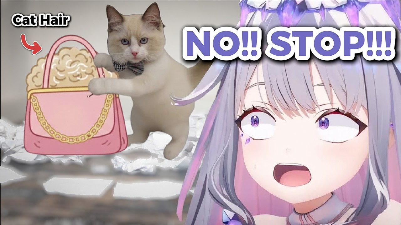 Biboo has a problem with her New Cat...