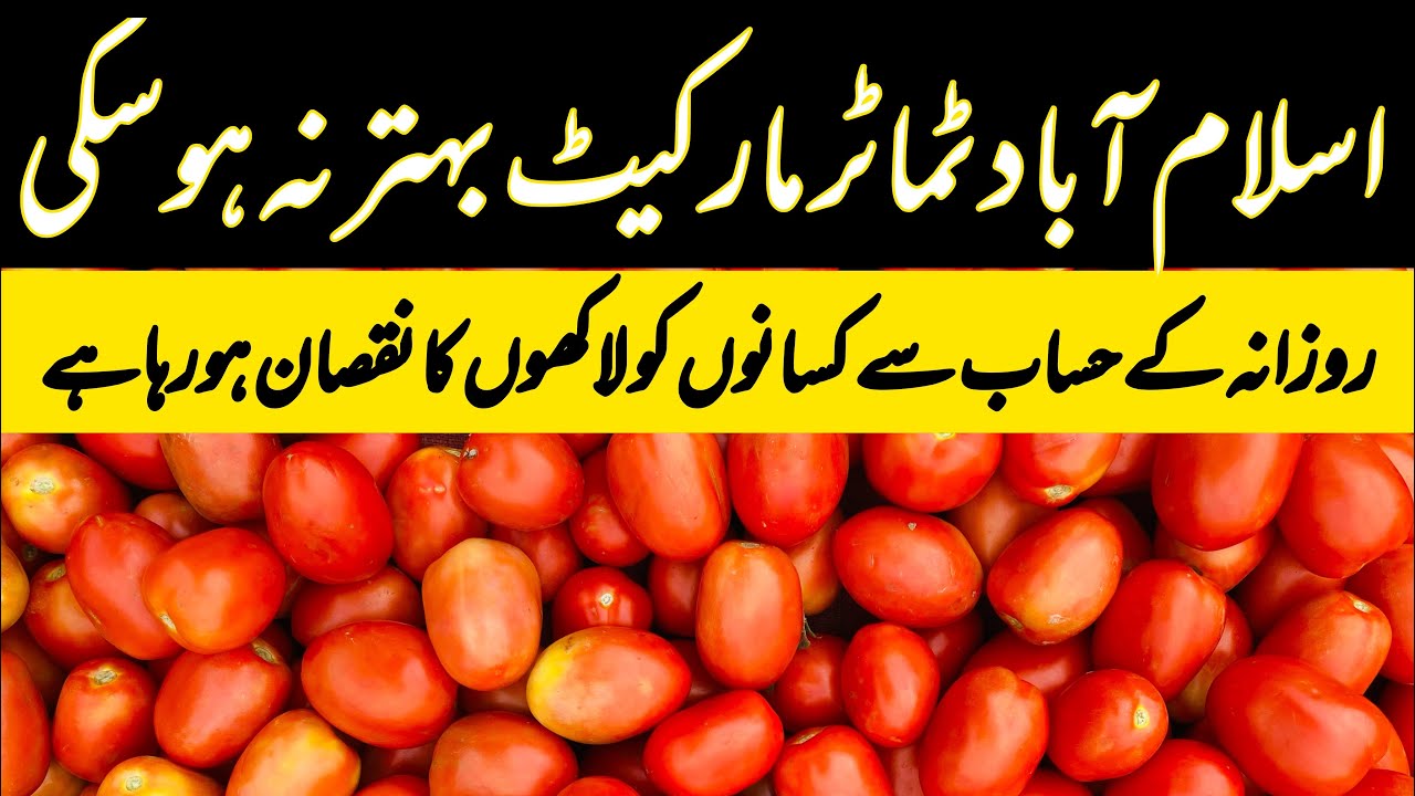 Tomato Market Become Moe Cheap | Islamabad Tomatoes Market Update | 14 March 2026 | Auction Update 