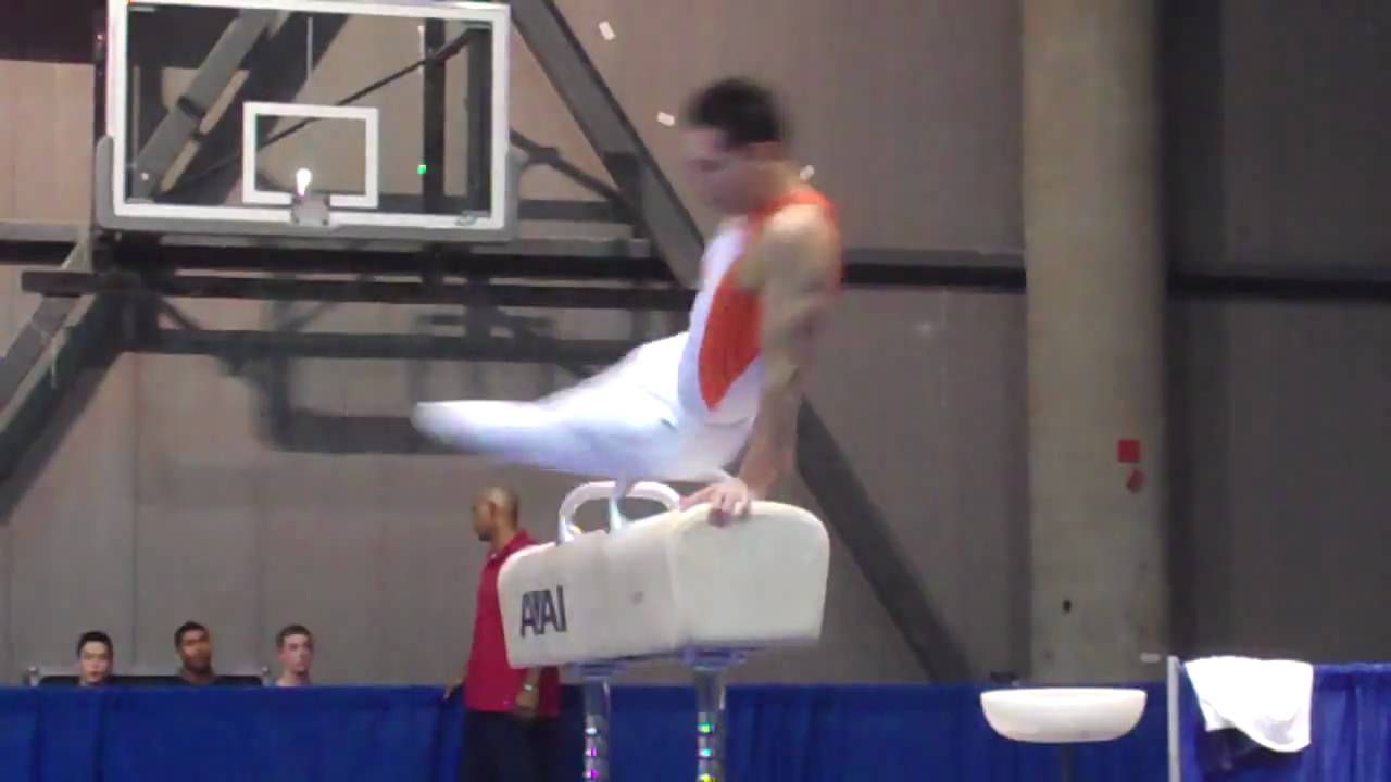 Daniel Ribeiro - Pommel Horse - 2010 Winter Cup - Day 1