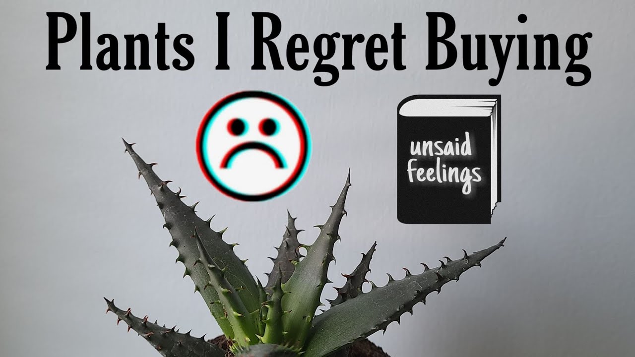 Plants I Regret Buying :(