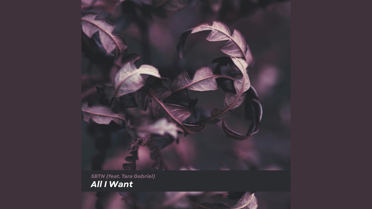 All I Want (feat. Tara Gabriel)