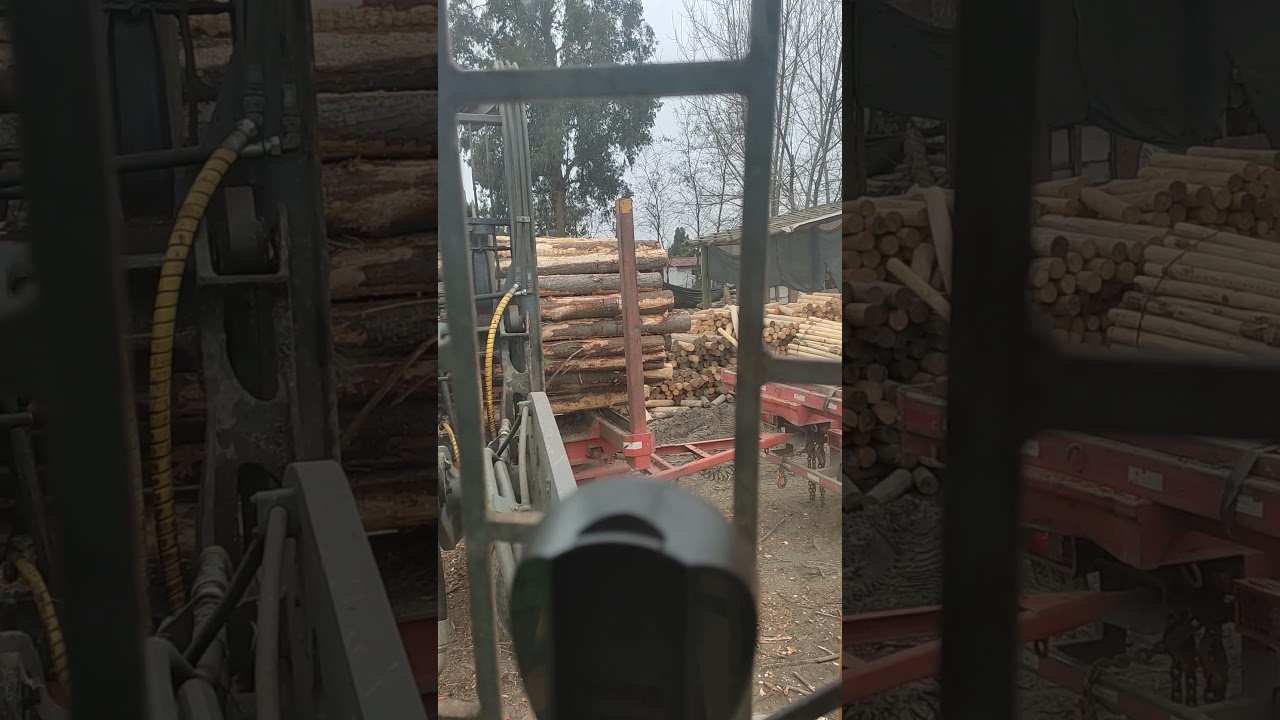 descarga cami&oacute;n con pi&ntilde;a forestal VOLVO L90E