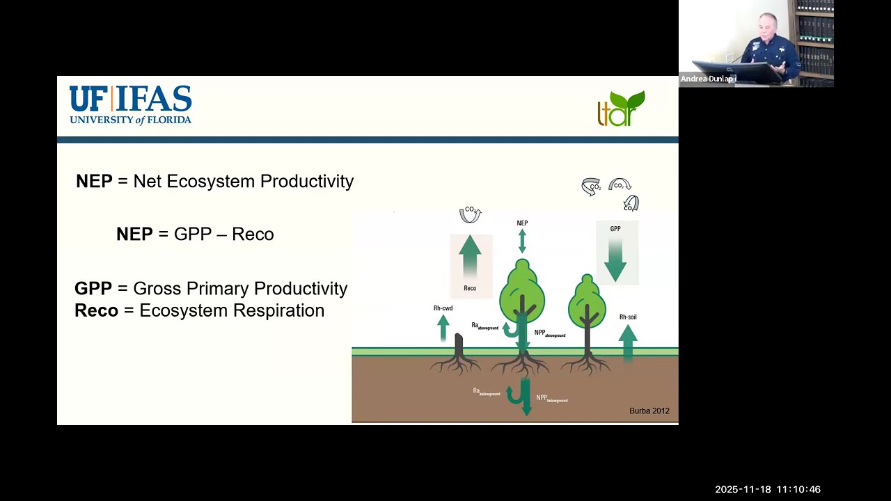 Carbon exchange - Pasture-based beef cattle production systems in Florida
