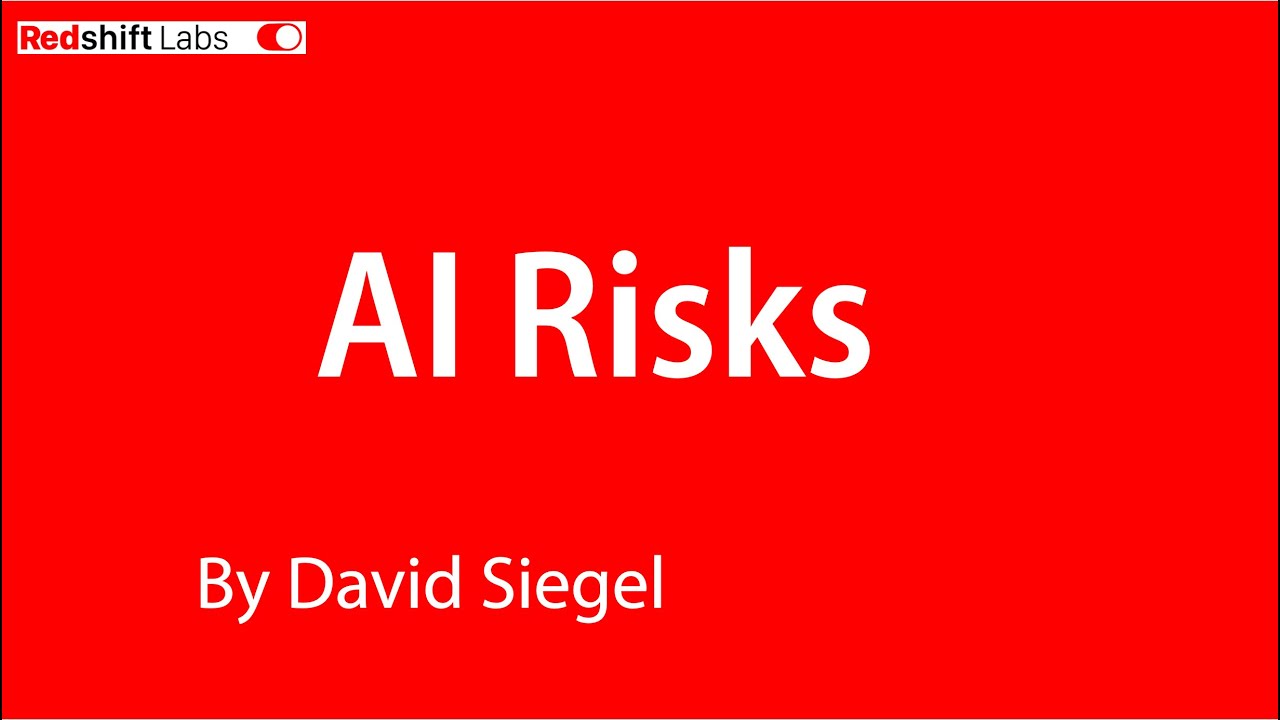 AI Risks by David Siegel of Redshift Labs