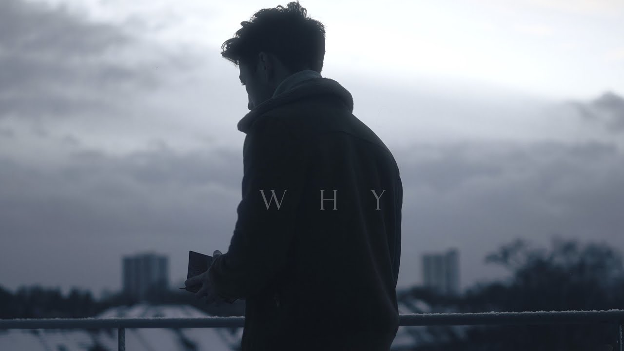 WHY | A POEM | F.J. SELTMANN