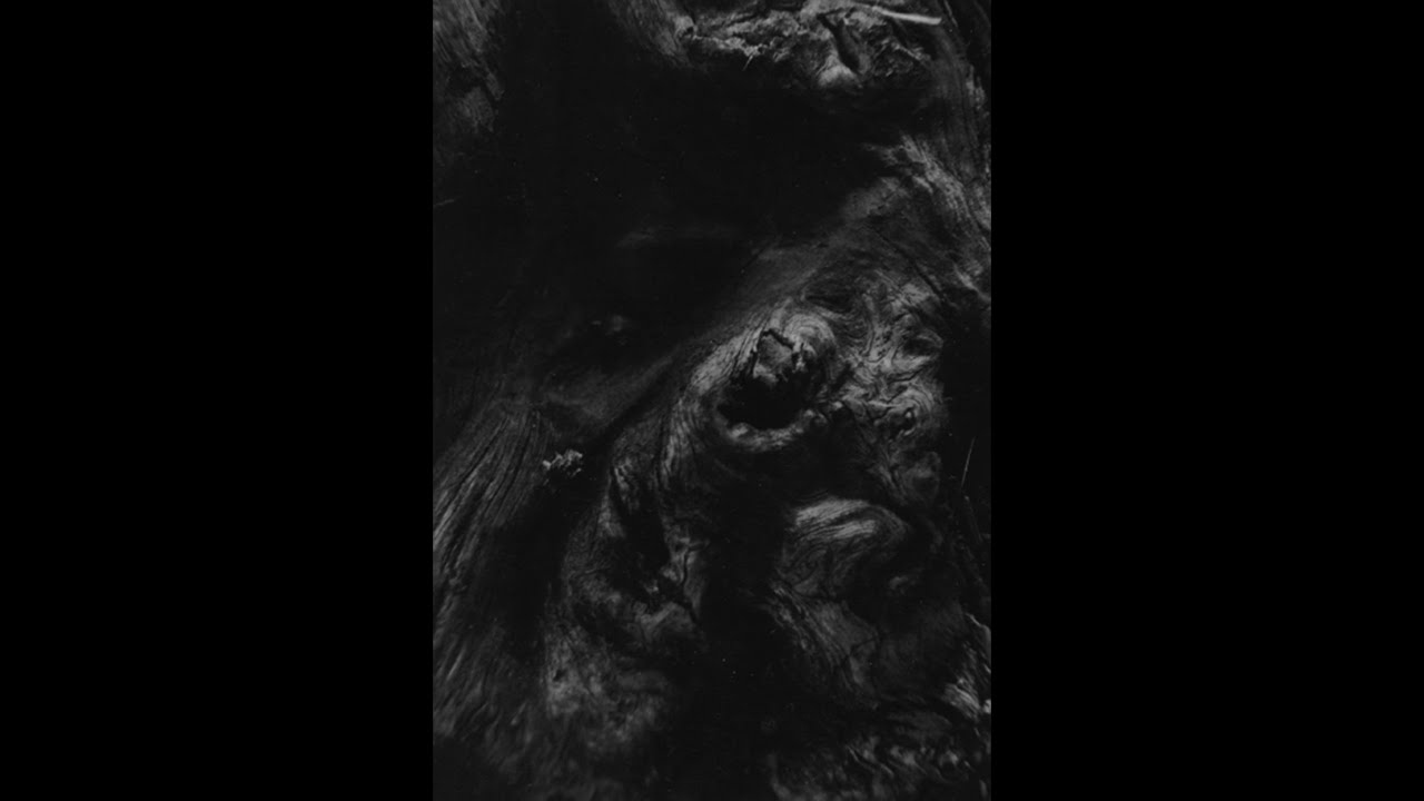 Paysage d'Hiver - Die Baumfrau [official]