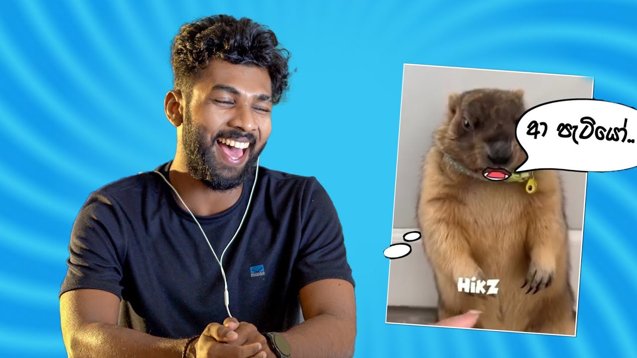 සත්තුත් ආතල් දෙනවා | Funny Reaction to Viral Animal Video