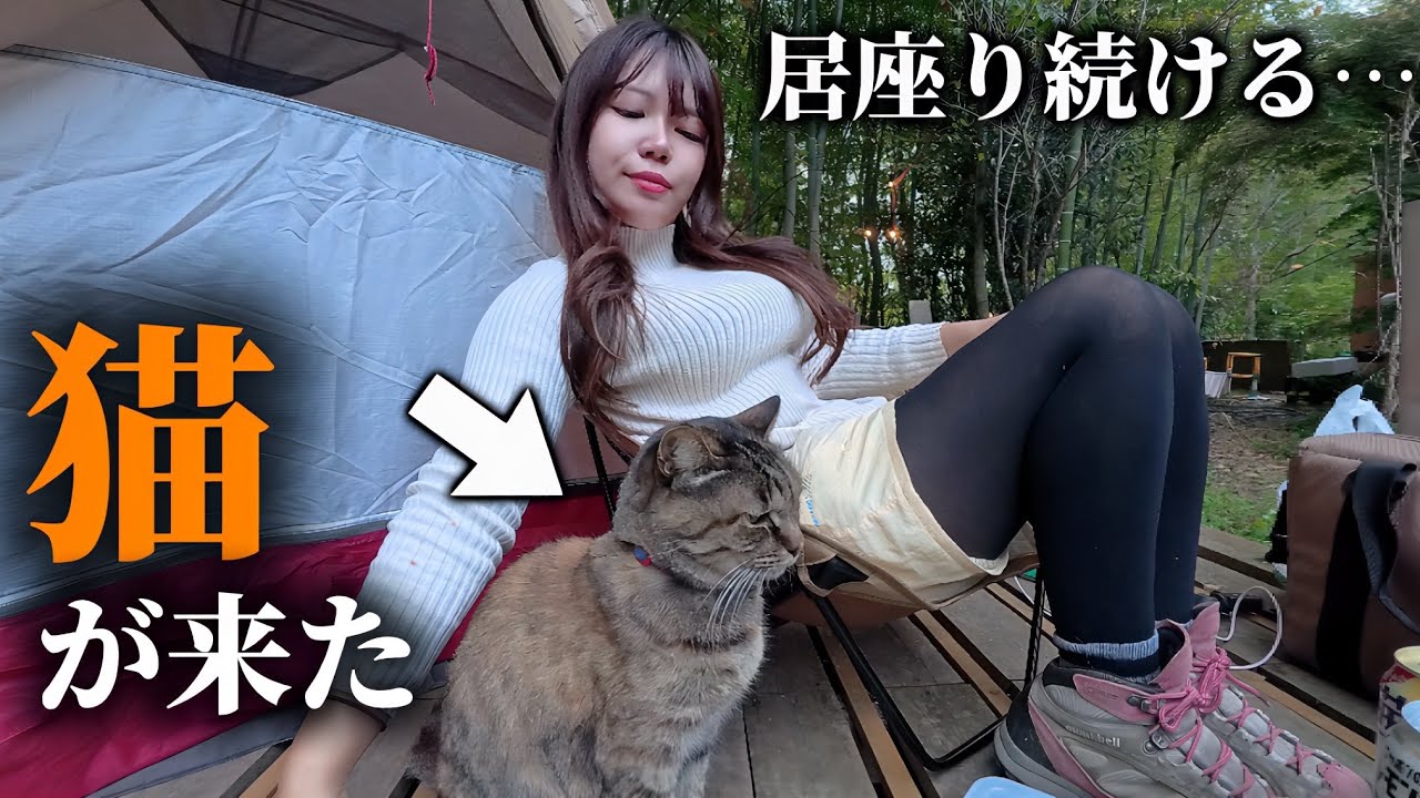 ソロキャンプ中、ずっーと離れない猫に癒されすぎた。【猫キャンプ】