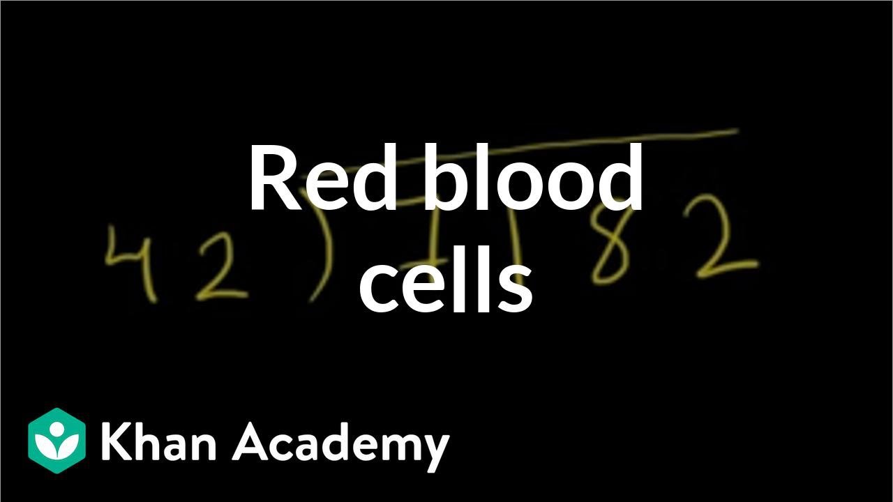 Red blood cells | Human anatomy and physiology | Health & Medicine | Khan Academy