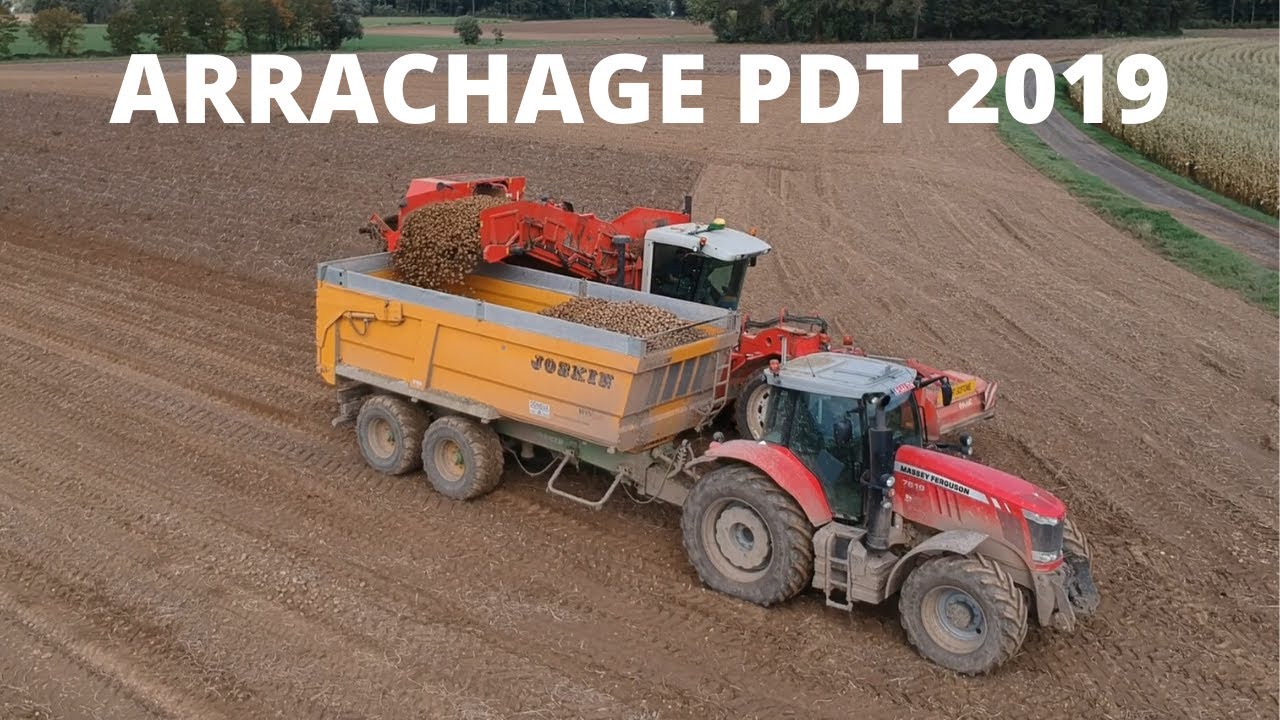 Arrachage des Pommes de Terre 2019