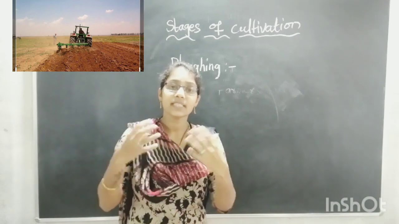 Stages of cultivation G-5