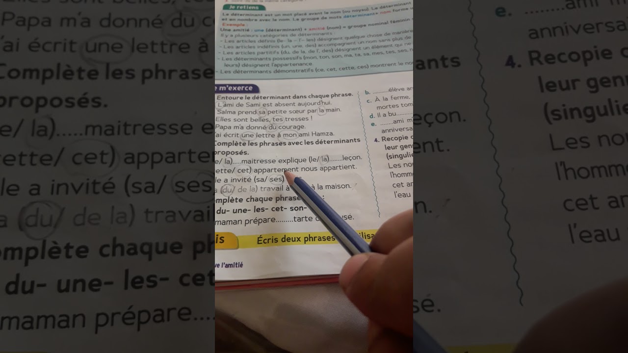 le trésor des mots CM1:les déterminants page14