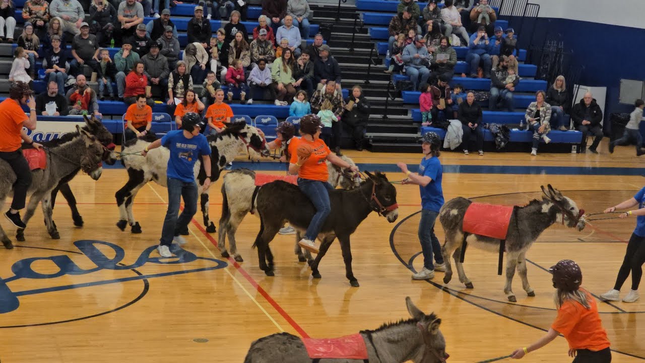 Donkey Basketball