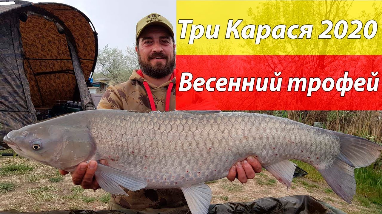 Ловля карпа в нерест, Одесская обл. г. Беляевка рк "Три Карася" 2020.  SMC baits vs Рыбацкий Край