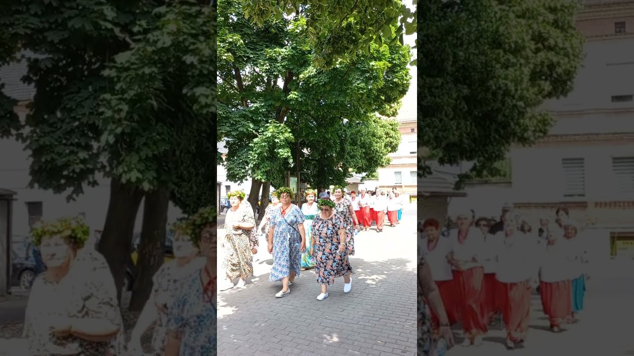 Olszyna. I Olszyński Festiwal Ludowy na ulicach miasteczka