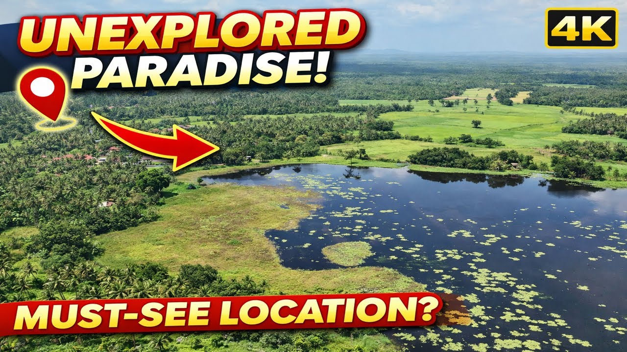 Breathtaking Aerial View of Paddy Fields, Lake & Mountain 🌿 | Nature Relaxation