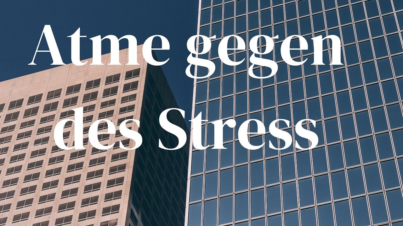 Atme gegen den Stress #stress #nervensystem #achtsamkeit #psychologischeberatung