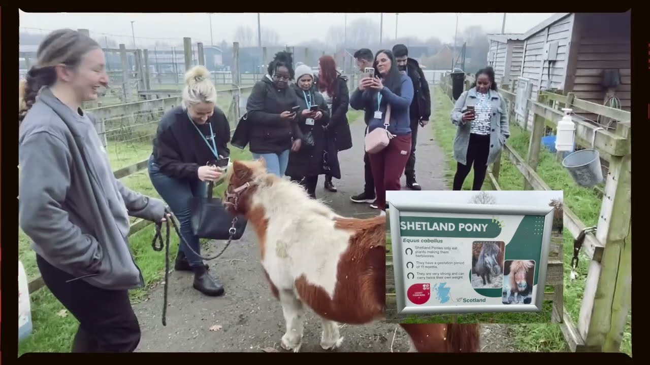 Animal Management Trip - Animal Vocabulary - English Lesson