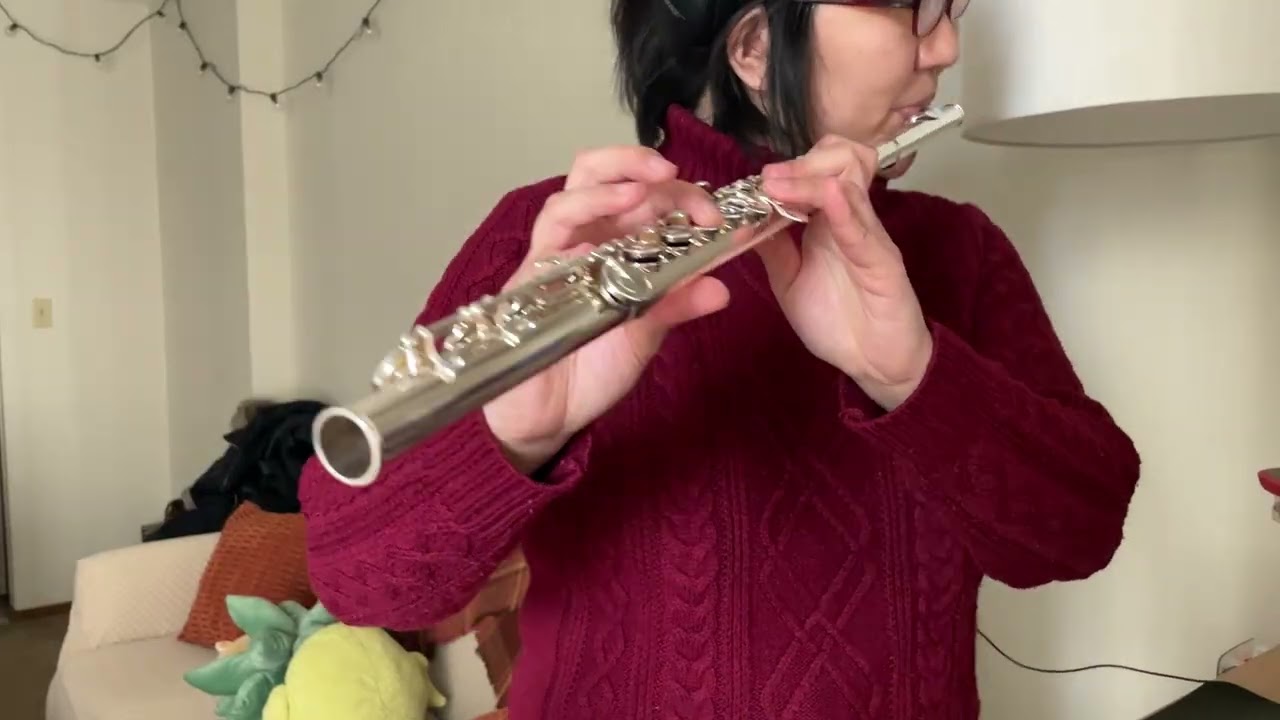 Ready Your Weapon || 葬送のフリーレン (Frieren: Beyond Journey's End) || flute cover by ear