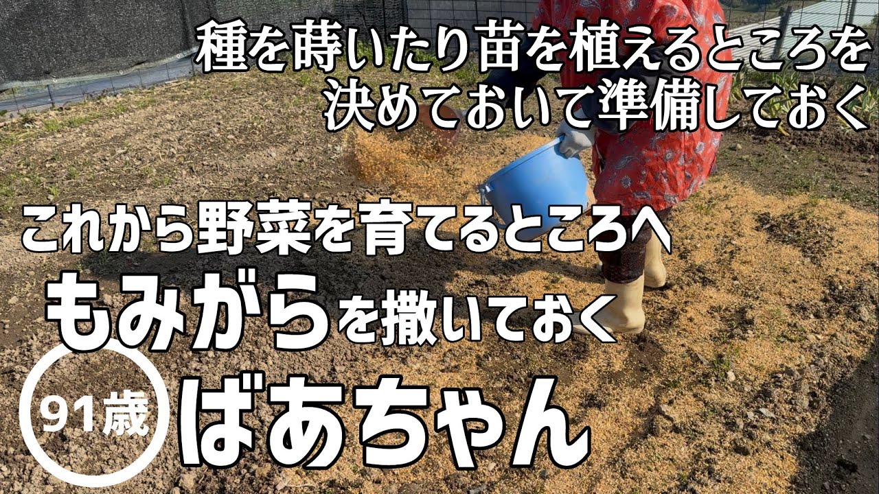 【畑仕事】これから野菜を育てていくところへもみがらを撒いておいた91歳のばあちゃん【田舎暮らし】