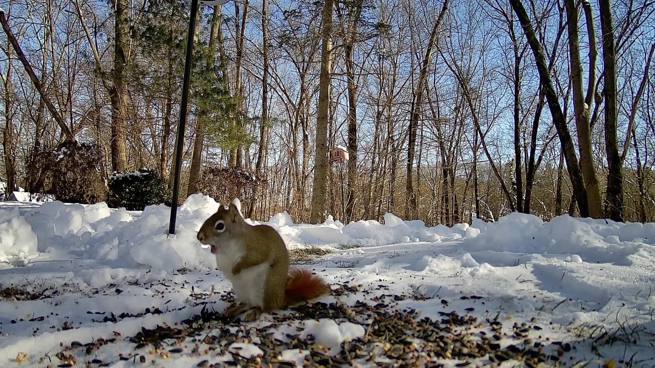 Red n Bud hanging out.