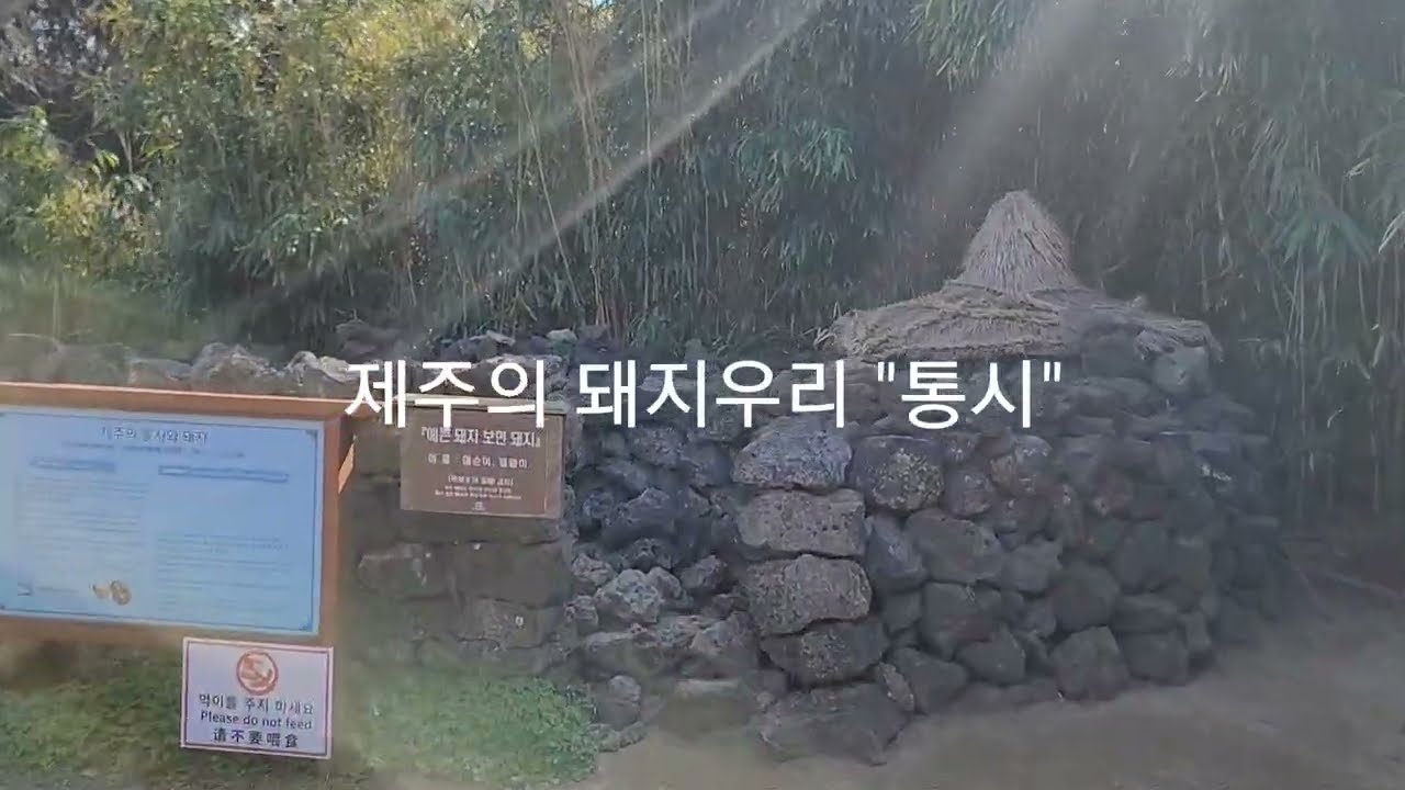 제주민속촌(표선) #travel #제주브이로그 #힐링브이로그 #slow living제주 #제주 슬로우라이프 #제주감성여행 #제주 숨은명소 #SeogwipoVlog #제주로컬라이프