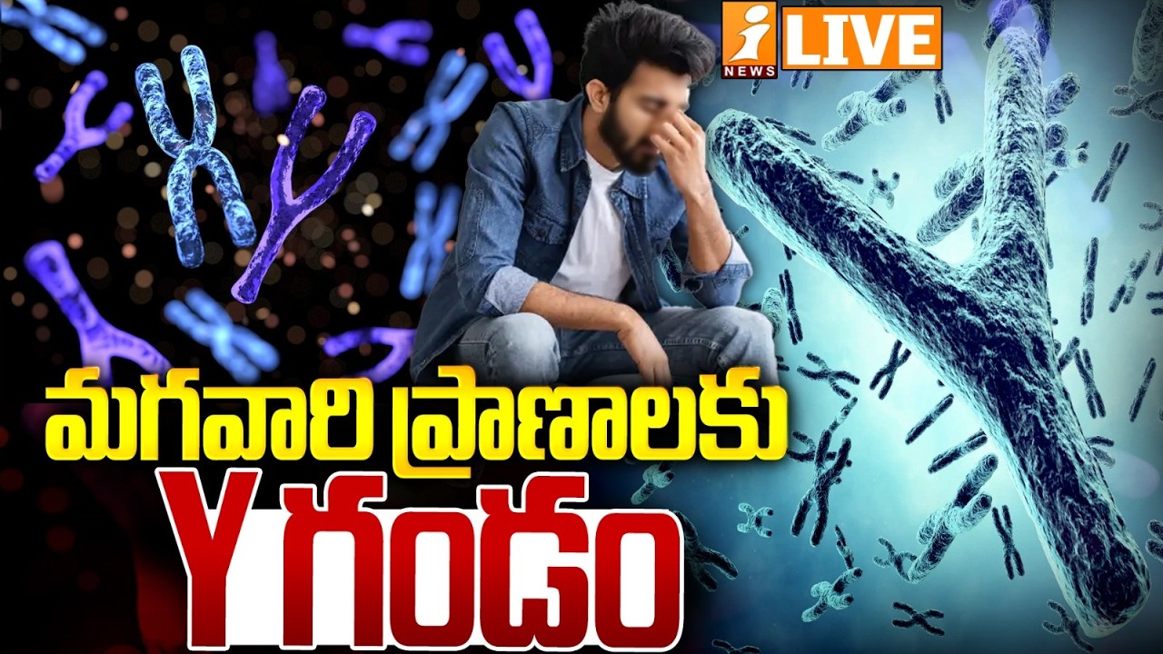 🔴LIVE : మగవారి ప్రాణాలకు Y గండం | Male Health Explained: Y Chromosome & Testosterone | iNews