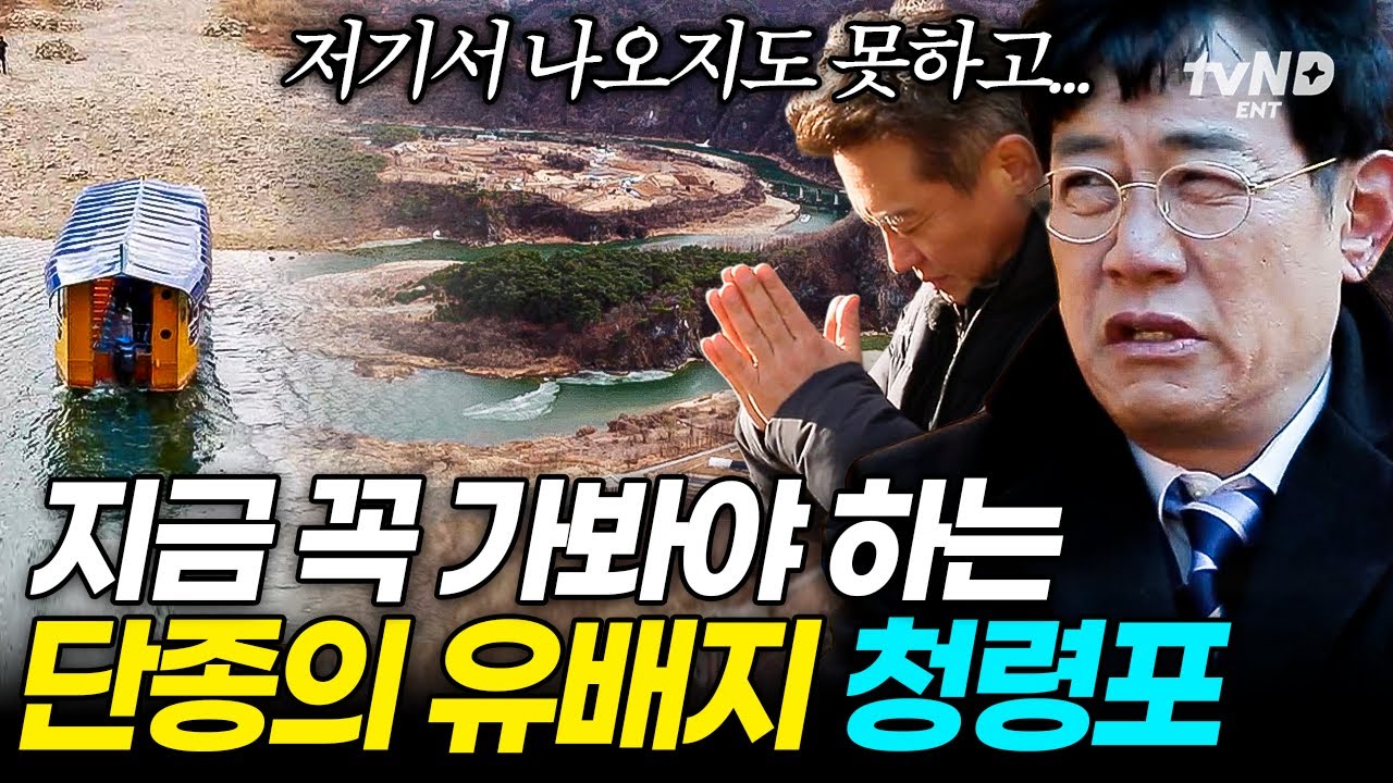 단종 나 안아ㅠㅠ🫂 단종의 한이 서린 곳인 영월 청령포 둘러보기🌲[#달팽이호텔]