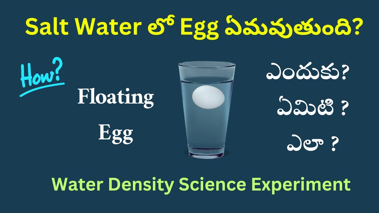 Floating Egg #science #experiment | How and Why egg float in salt water #telugu #density #learning