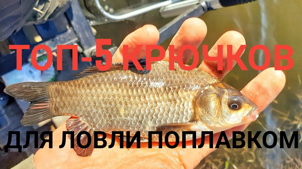 Топ-5 лучших крючков для поплавочной ловли! Элементы поплавочной оснастки. Часть 1