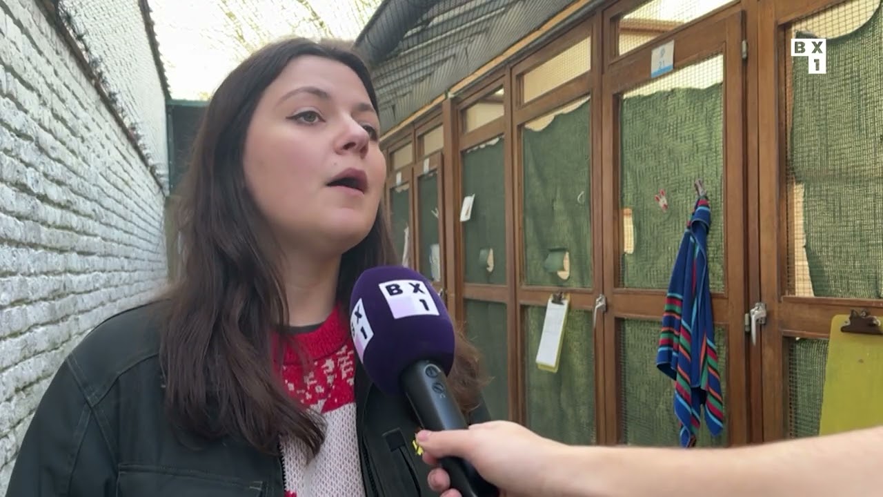 Année record pour le Centre de soins pour la Faune Sauvage : 2600 animaux ont été sauvés en 2025