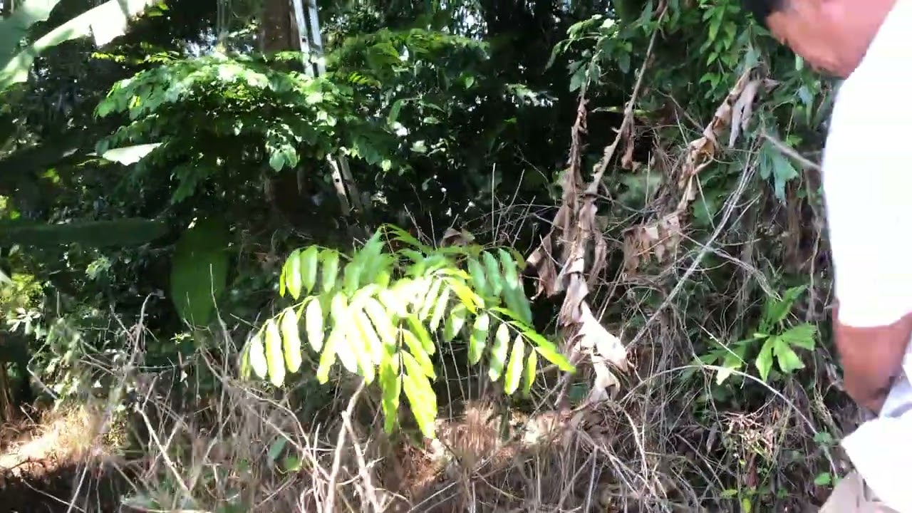 Chinh phục ổ ong 🐝 khoái siêu to 