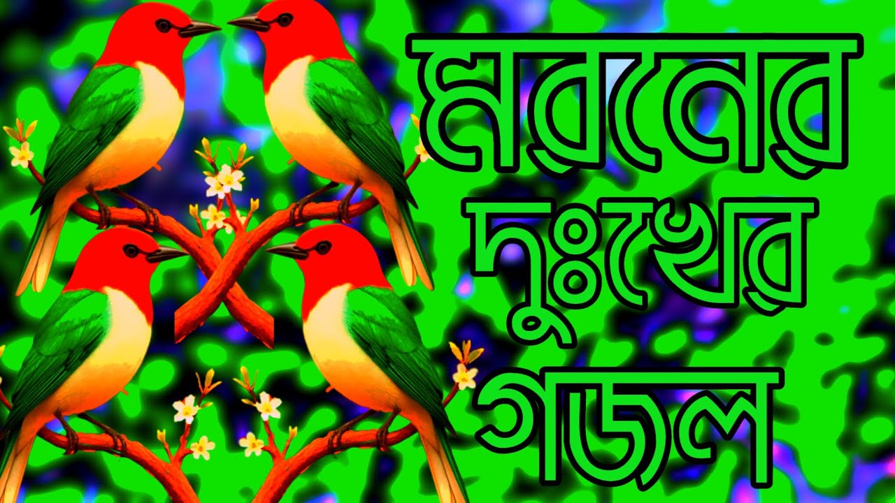 মরণ আমায় ডাকবে যেইদিন নিষ্ঠুর ও রূপ ধরে গো দরিয়া_পরকালের গজল 
