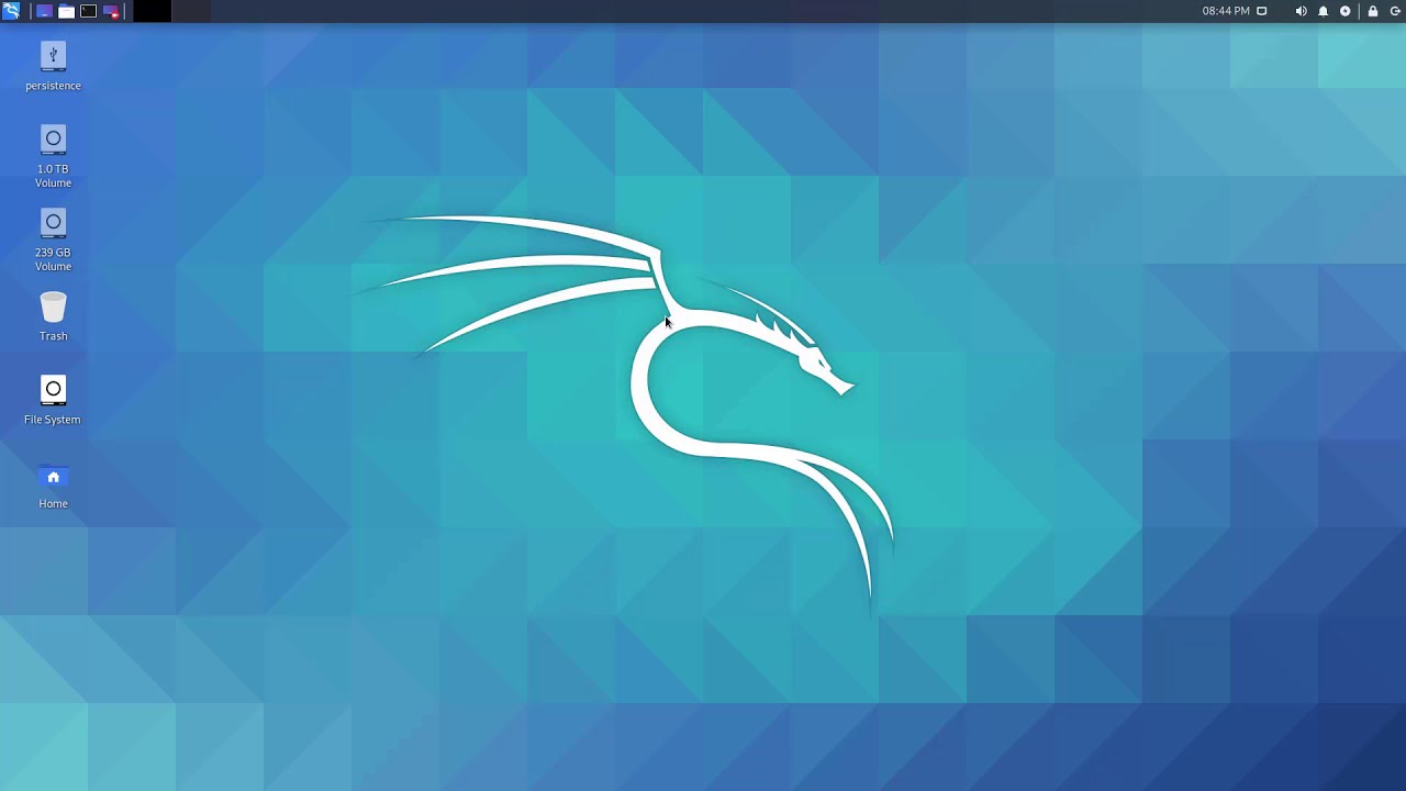 Kali Linux USB Live - Persistence - Encrypted Persistence | Kalıcı Mod Kurulumu
