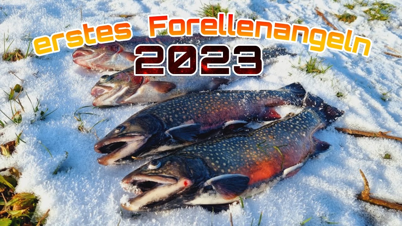 Forellenhof Trauntal/ erstes Forellenangeln 2023