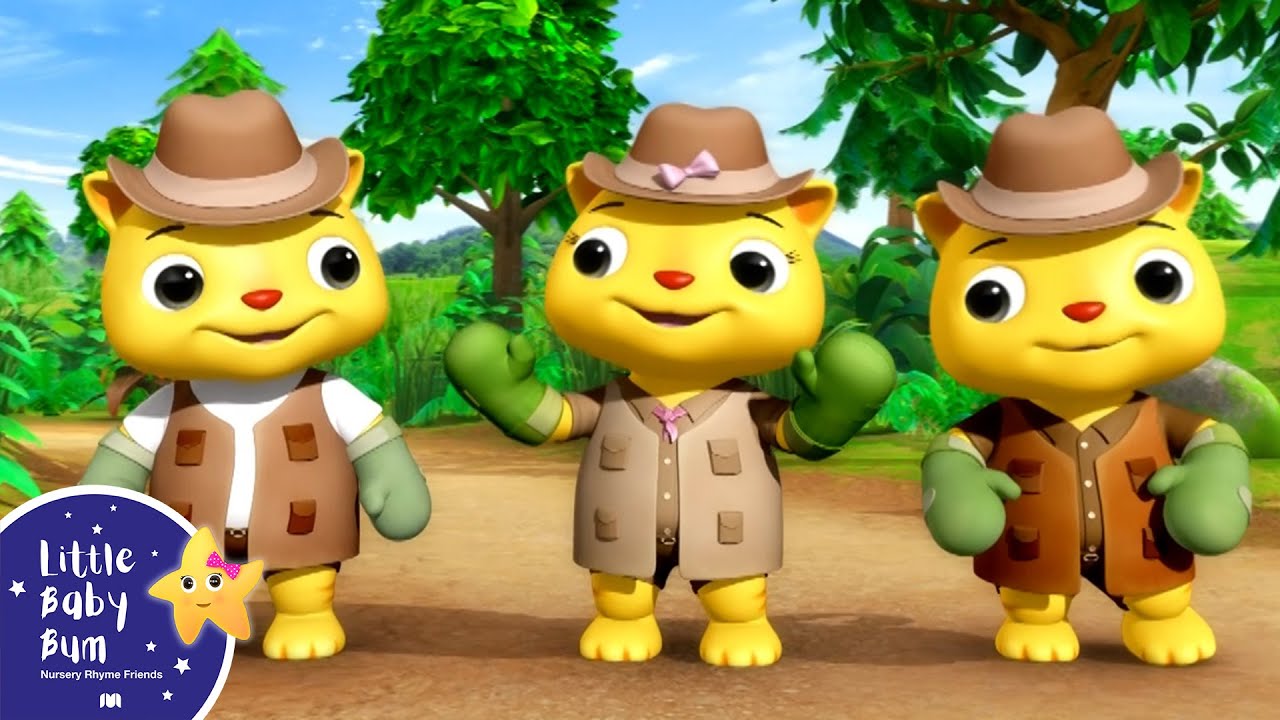 3 Little Kittens! | Little Baby Bum - New Nursery Rhymes for Kids