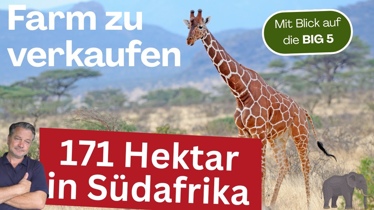 Pure Nature Familodge steht zum Verkauf. Dein Traum in Südafrika?