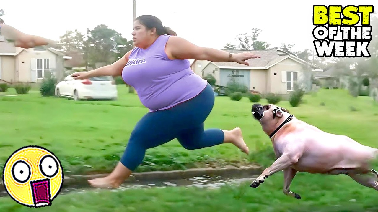 TRY NOT TO LAUGH #04 😂😁😆 | Funny & Hilarious People Life 😆 | Instant Regret Fails Compilation 2026