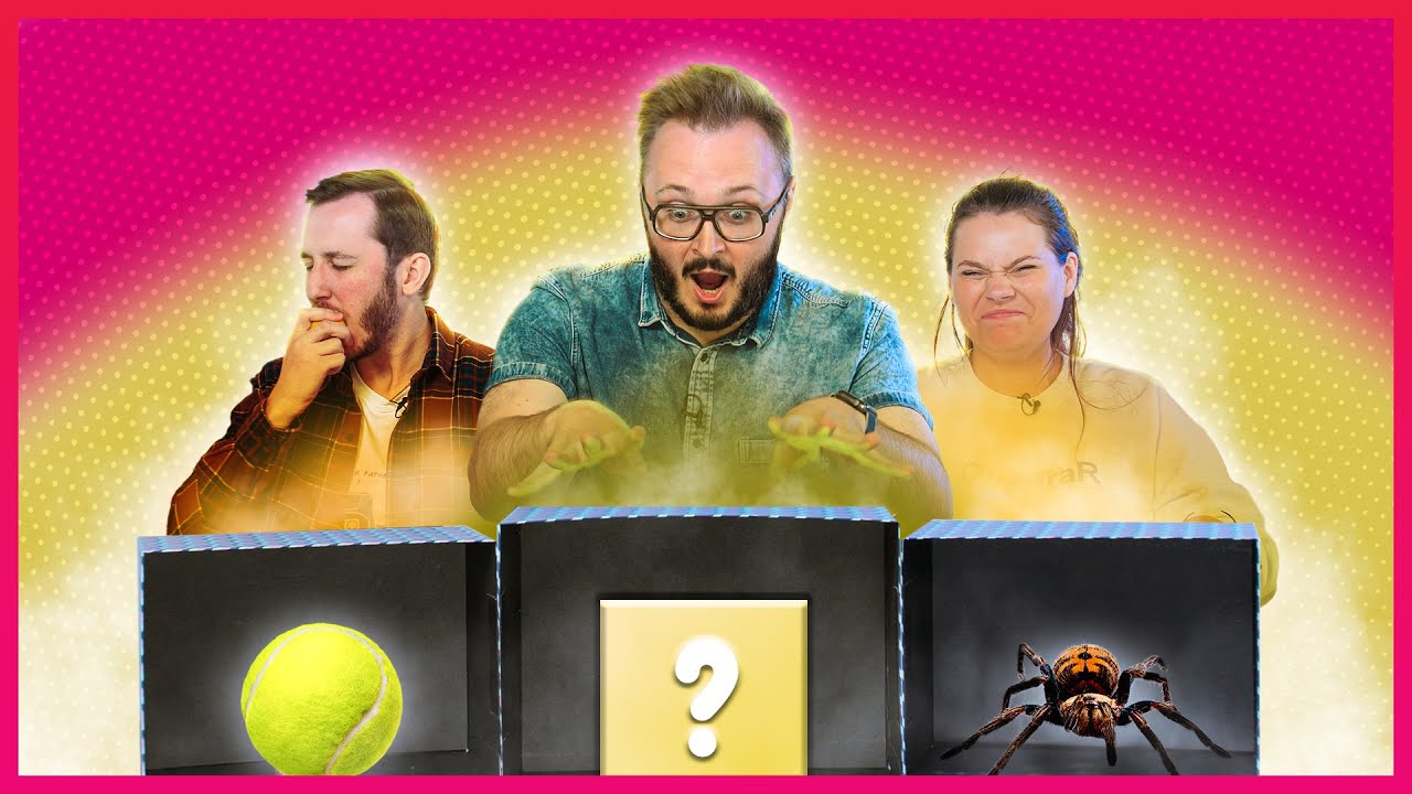 3 KEISTOS DĖŽĖS 2 | Lauritta, STIMOMEDIA, Talžūnas, Vėjas | Pildyk ofisas