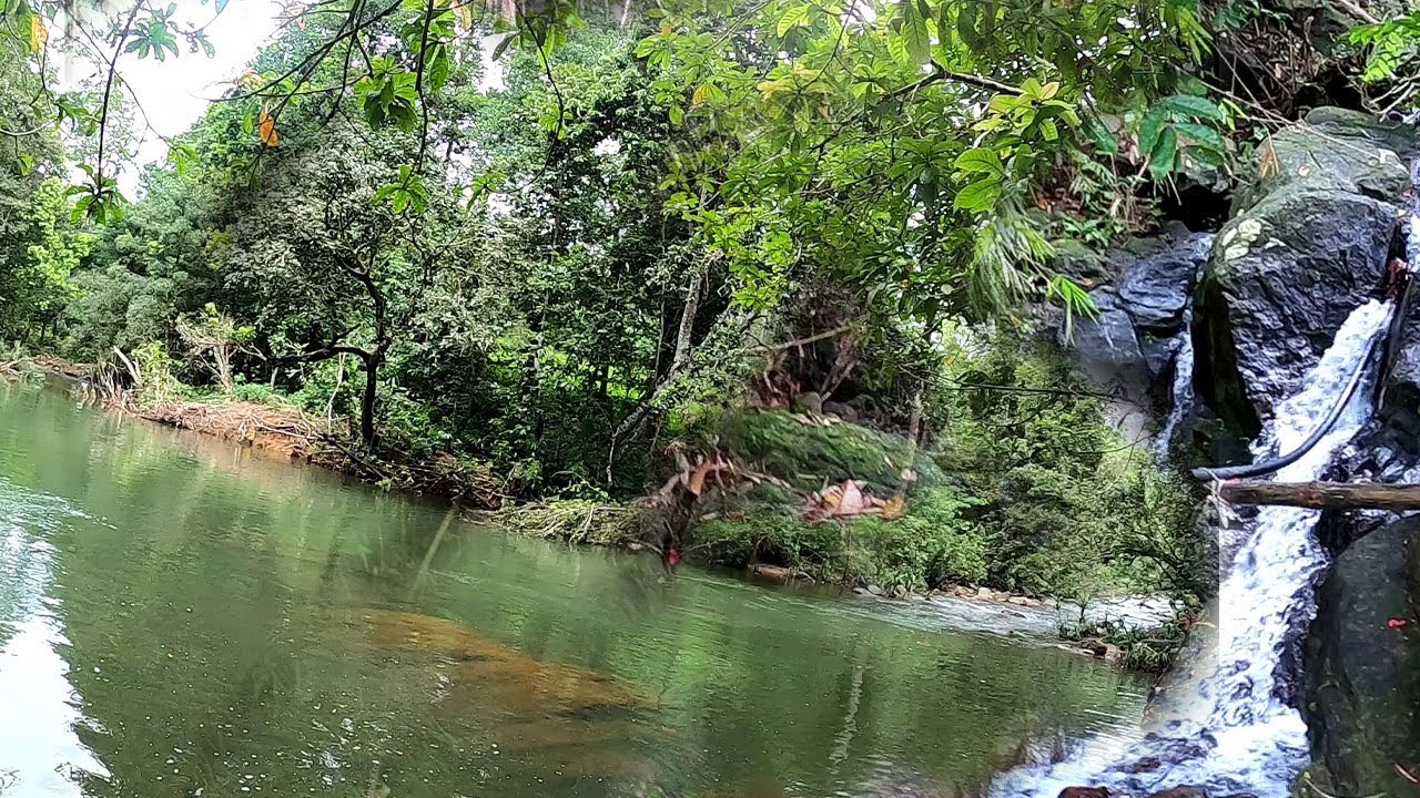 කොළඹට නුදුරු විශාල ජල පහලකට මායිම් ඉඩමක්./SITHARA/0770609858/IDAM.LAND.GEWAL