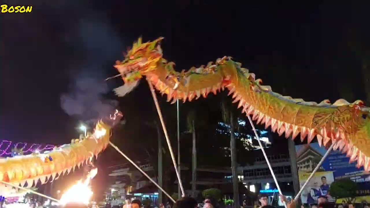 舞龙表演天地君马六甲卫塞节大游行Malacca Wesak Day Parade Dragon dance 2025