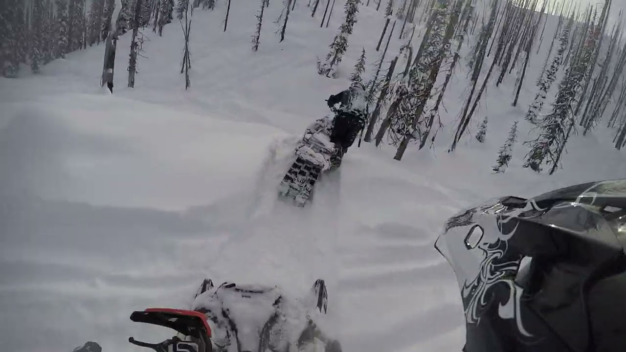 Eagles Exploring