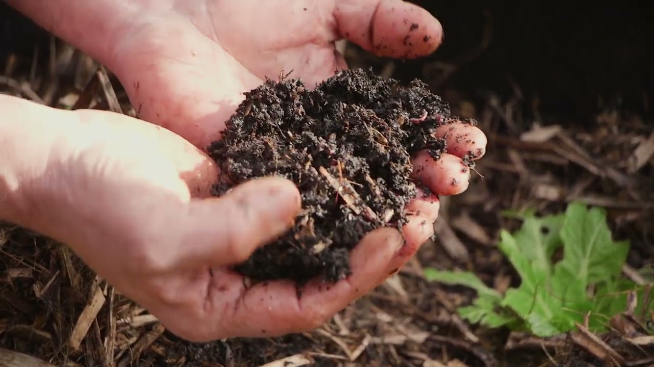 Unveiling The Magic Of Our Planting Mix And Compost In My Garden Beds