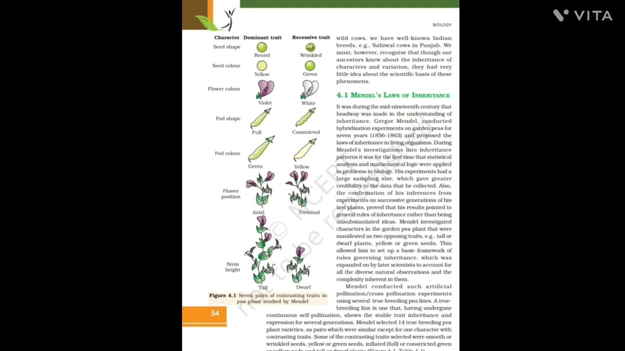 Principal of inheritance and variations PART-1 | CLASS 12 BIOLOGY | CHAPTER - 04