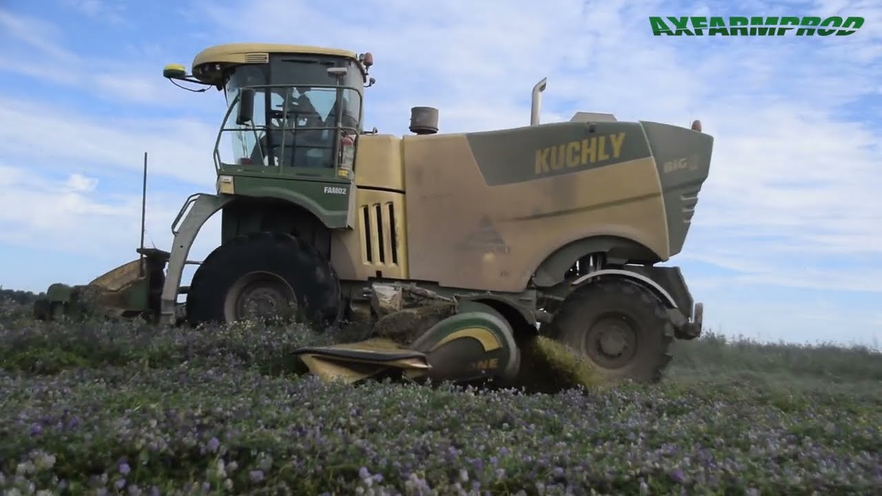 Fauchage et ensilage de luzerne en Krone BIG M & BIG X - Denis Kuchly