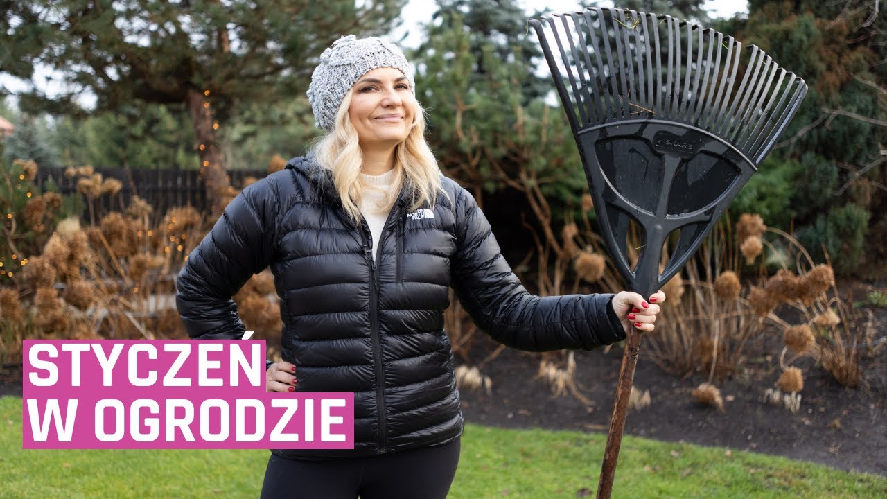 Jakie prace ogrodowe wykonać w styczniu? Siać czy nie siać tak wcześnie?