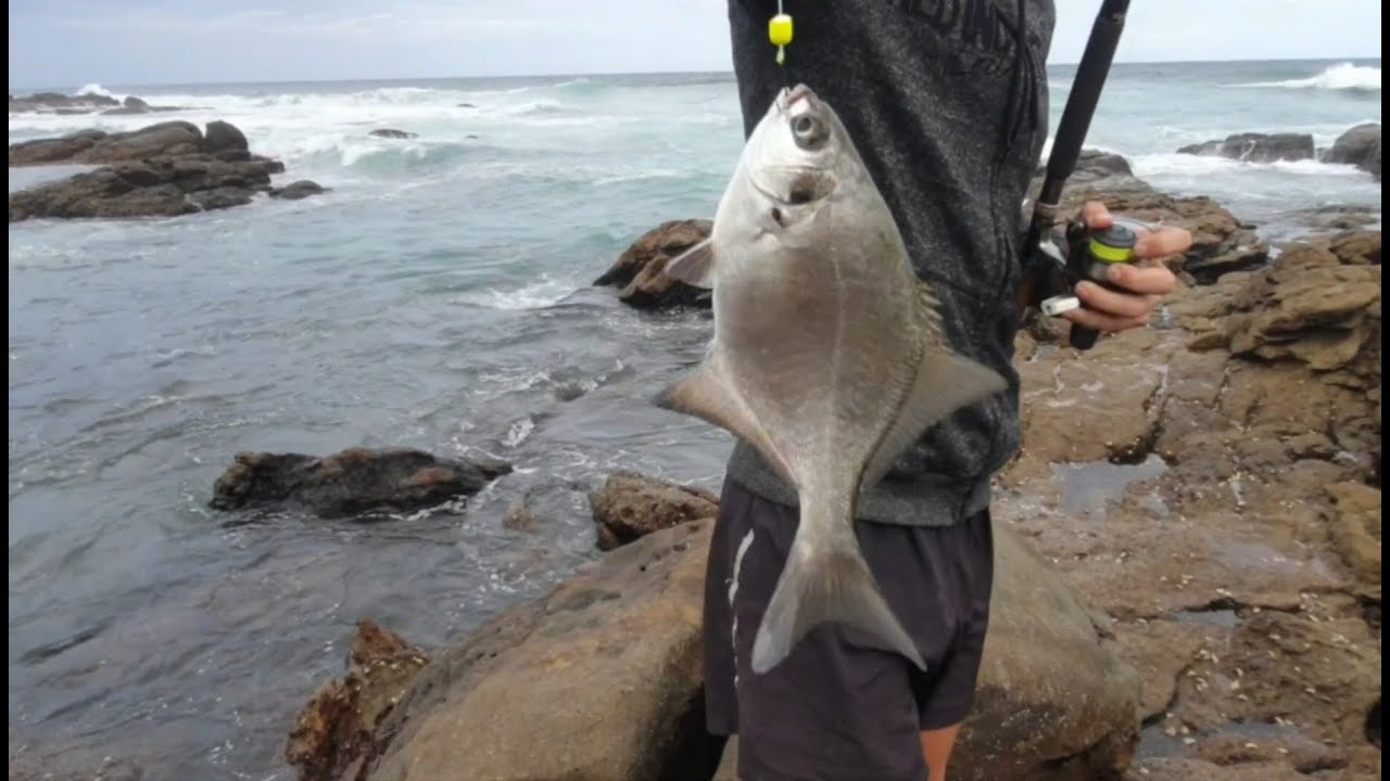 True North Fishing: Shad bay, Lee Rock & Margate Pier